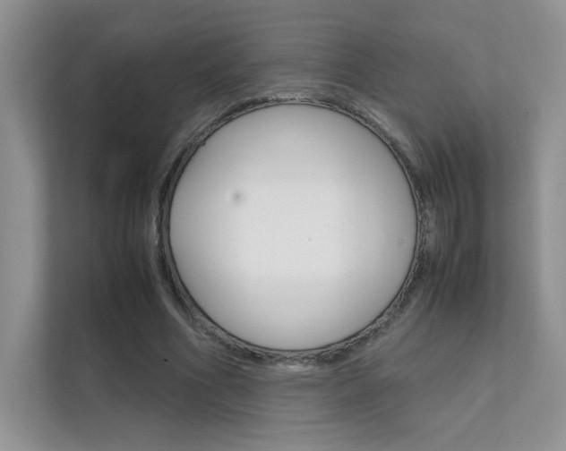 X0000112400586200908141007