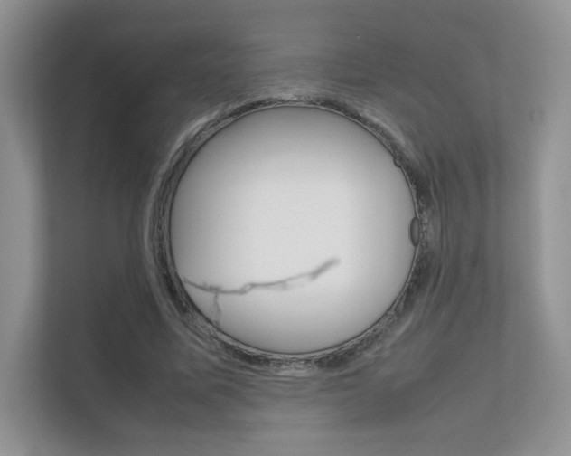 X0000112400587200908141007