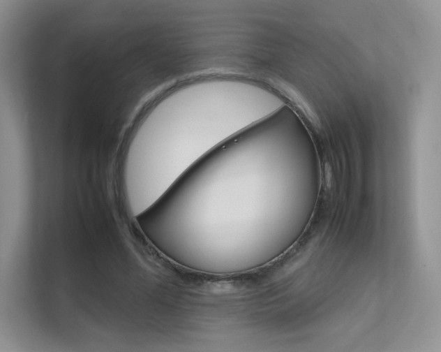 X0000112400588200908141007