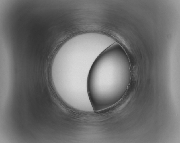 X0000112400589200908141007