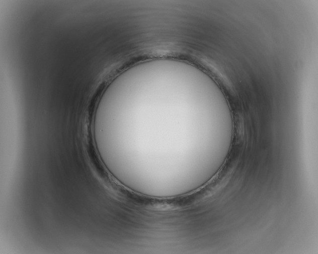 X0000112400590200908141007