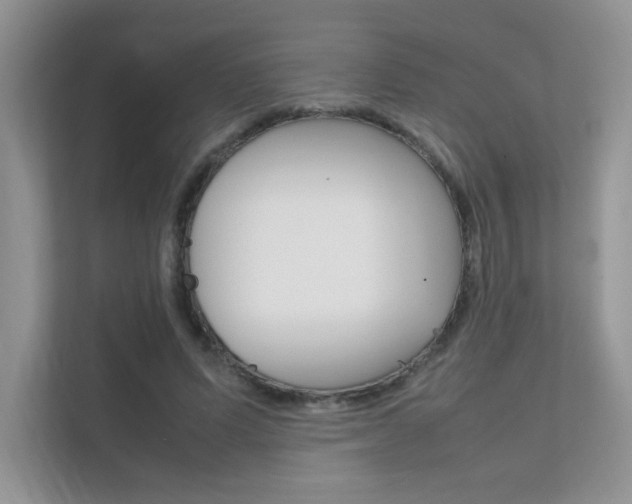 X0000112400591200908141007