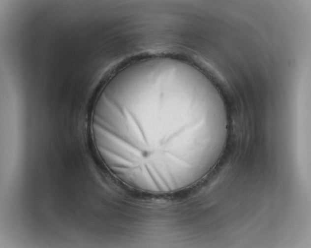 X0000112400592200908141007