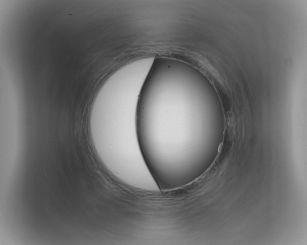 X0000112400593200908141007
