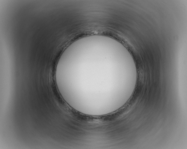 X0000112400594200908141007