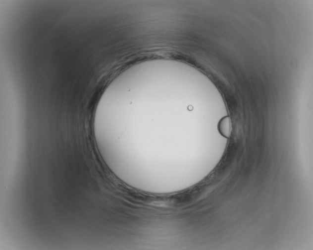 X0000112400595200908141007