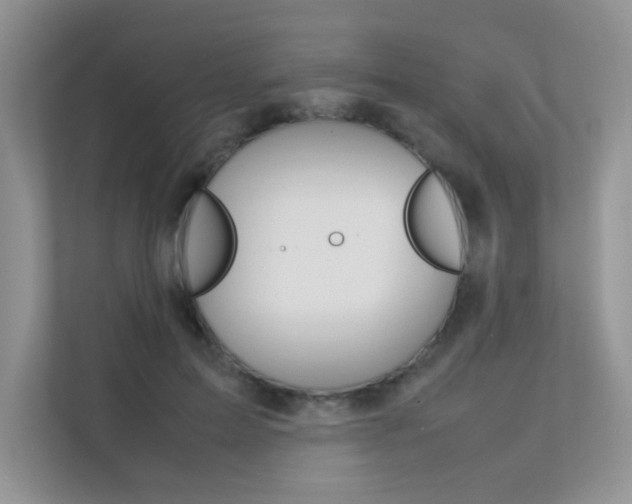 X0000112400599200908141007