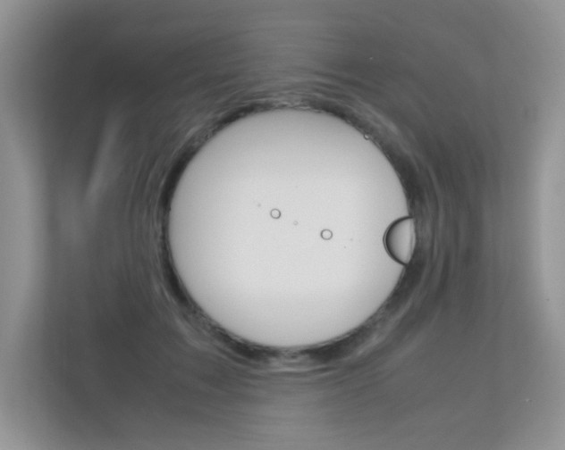 X0000112400603200908141007