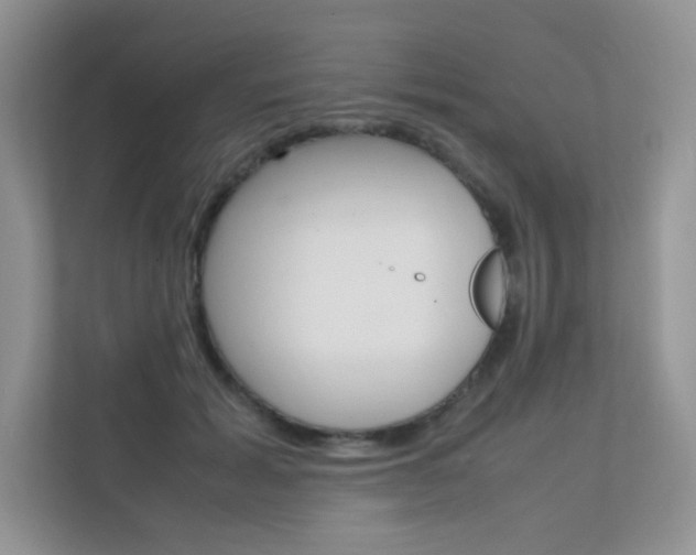 X0000112400605200908141007