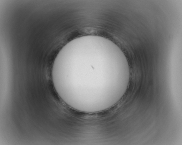 X0000112400606200908141007