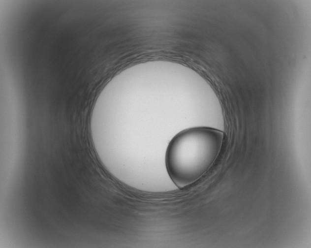 X0000112400613200908141006