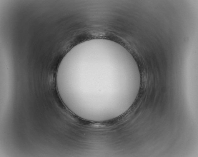 X0000112400614200908141006