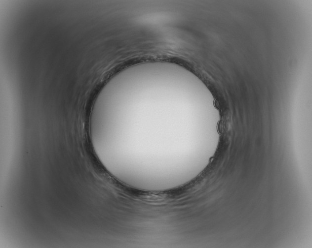 X0000112400615200908141006