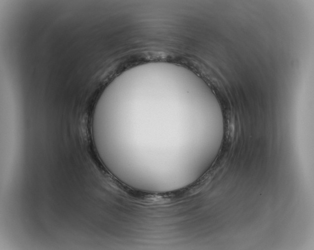 X0000112400616200908141006