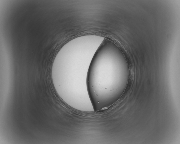 X0000112400617200908141006