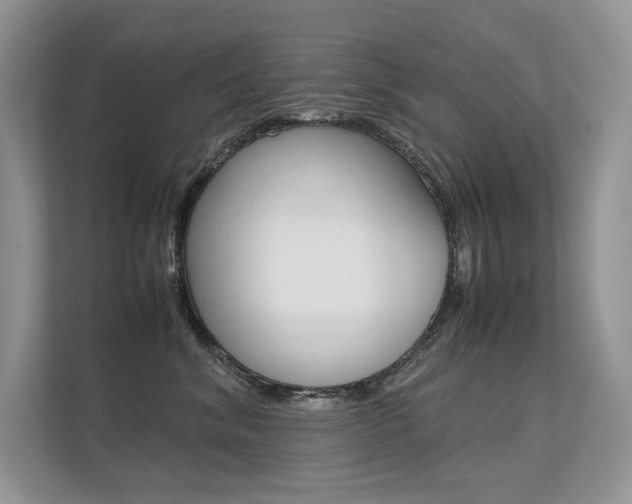 X0000112400620200908141006
