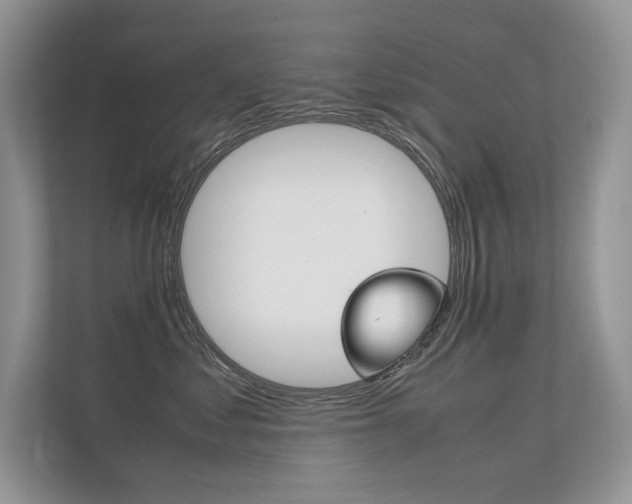 X0000112400621200908141006