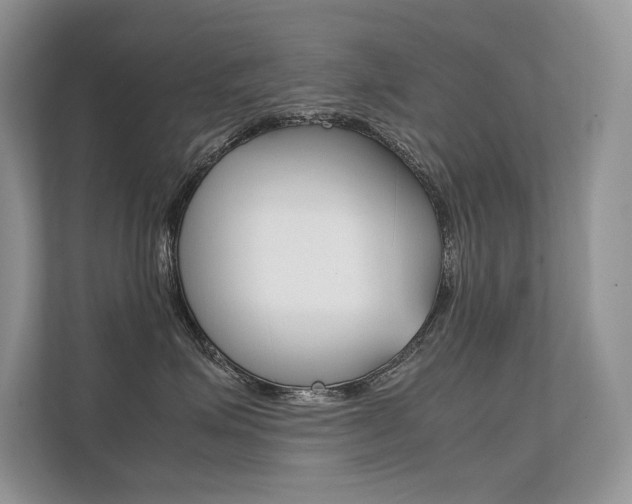 X0000112400623200908141006