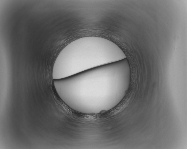 X0000112400624200908141006