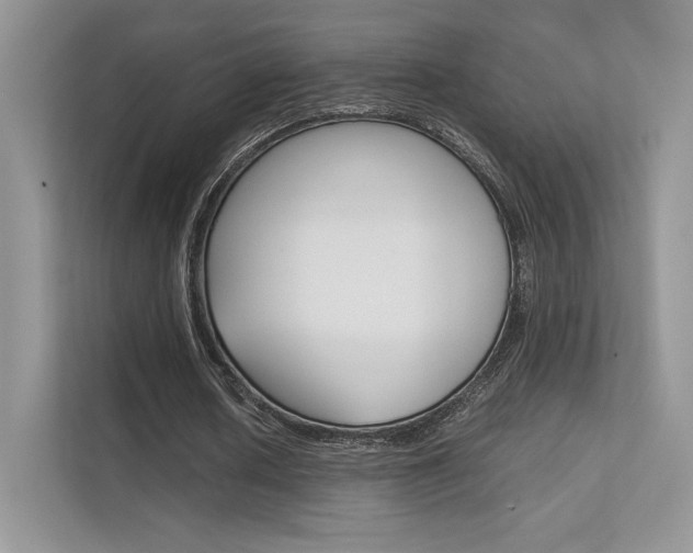 X0000112400626200908141006