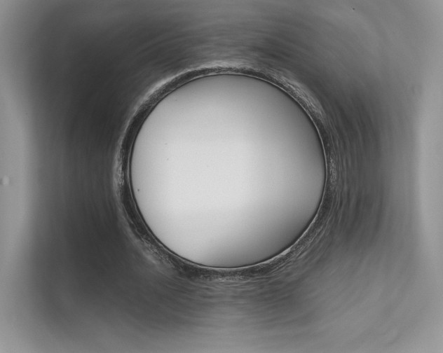 X0000112400628200908141006