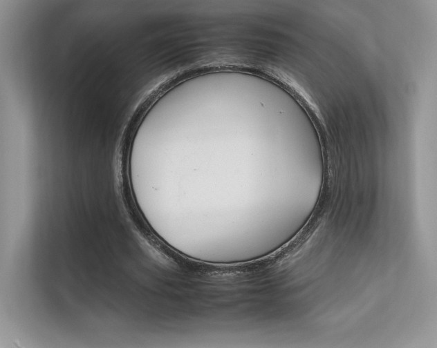 X0000112400629200908141006