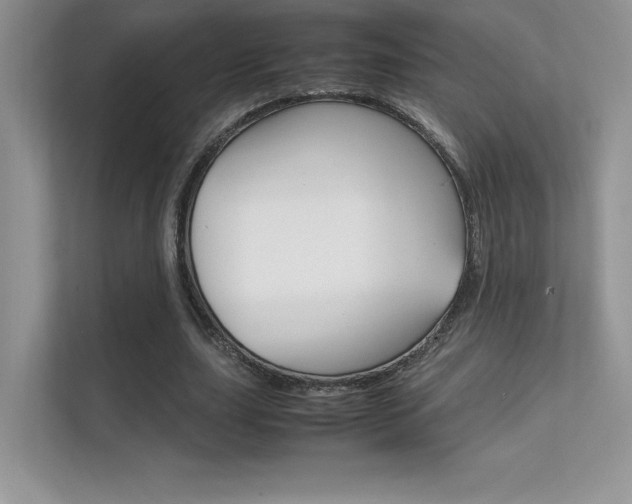 X0000112400631200908141006