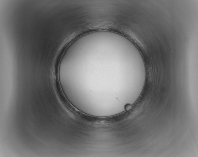 X0000112400634200908141006