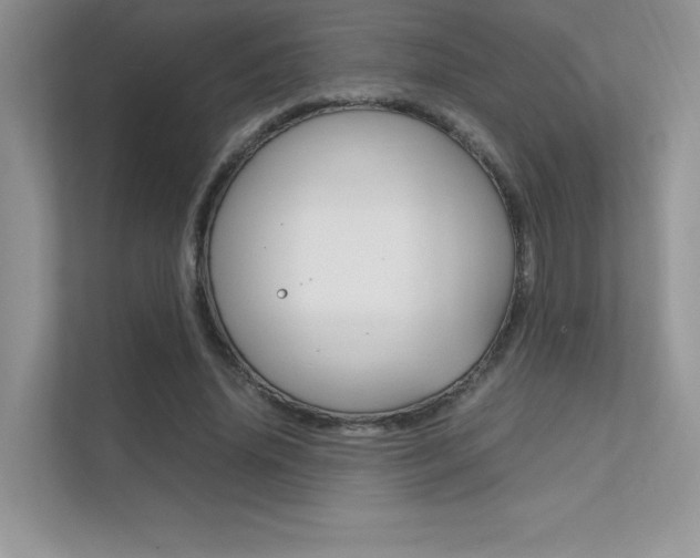 X0000112400636200908141006
