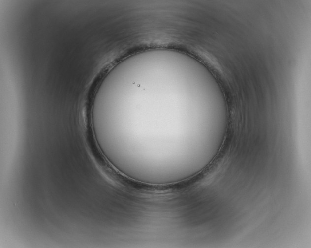 X0000112400638200908141006