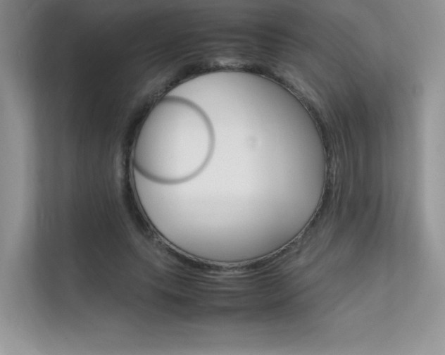 X0000112400639200908141006
