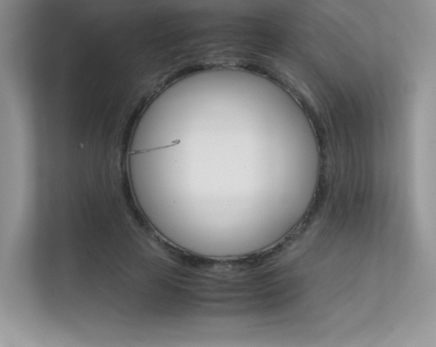 X0000112400641200908141006