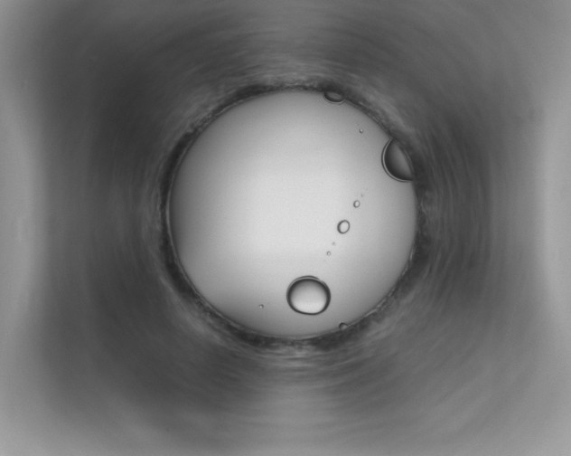X0000112400642200908141006