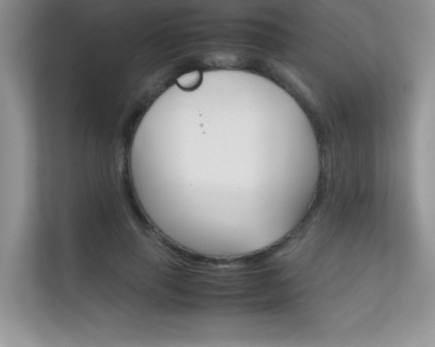 X0000112400645200908141006