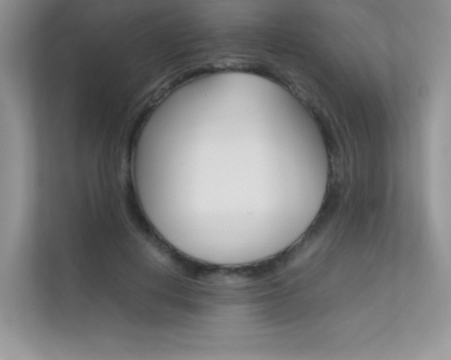 X0000112400648200908141006