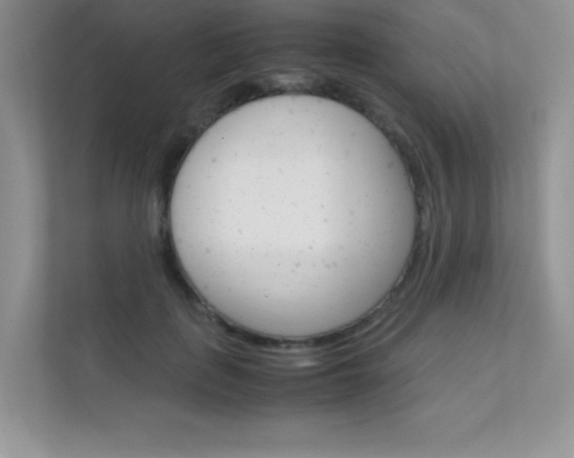 X0000112400651200908141006