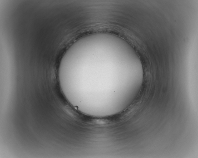 X0000112400654200908141006