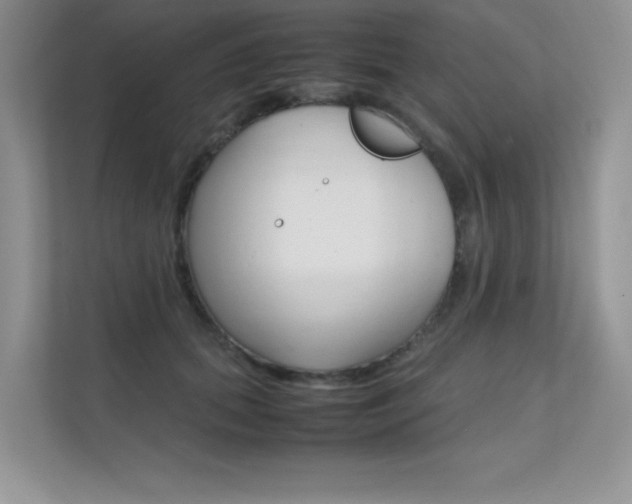 X0000112400655200908141006