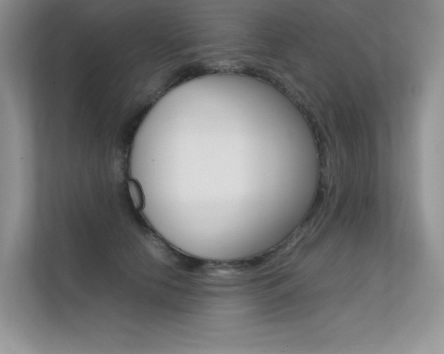 X0000112400658200908141006