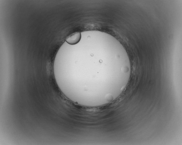 X0000112400659200908141006