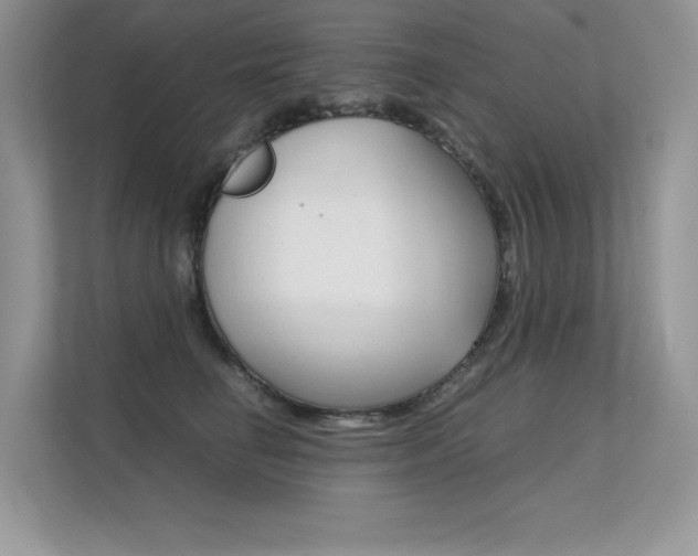 X0000112400662200908141006