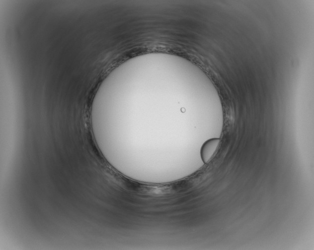 X0000112400663200908141006