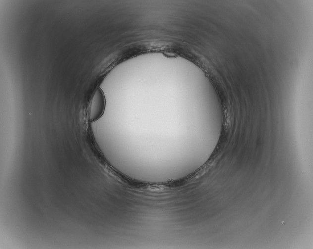 X0000112400666200908141006