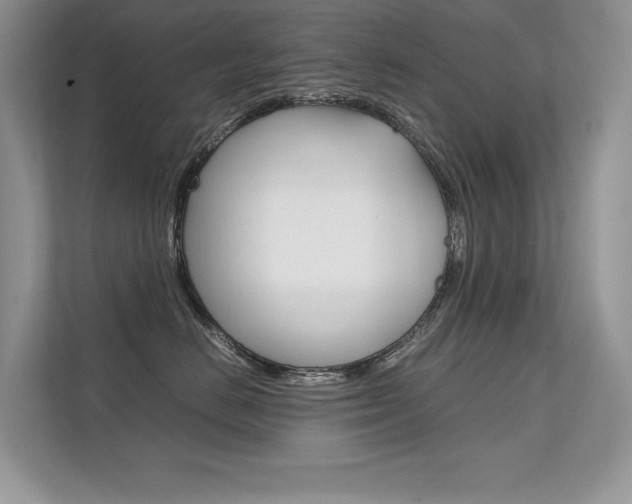 X0000112400670200908141006