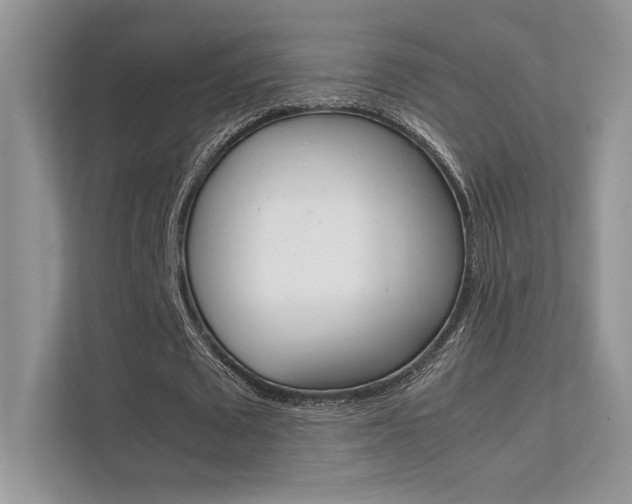 X0000112400673200908141006