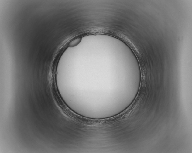 X0000112400674200908141006