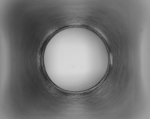 X0000112400675200908141006