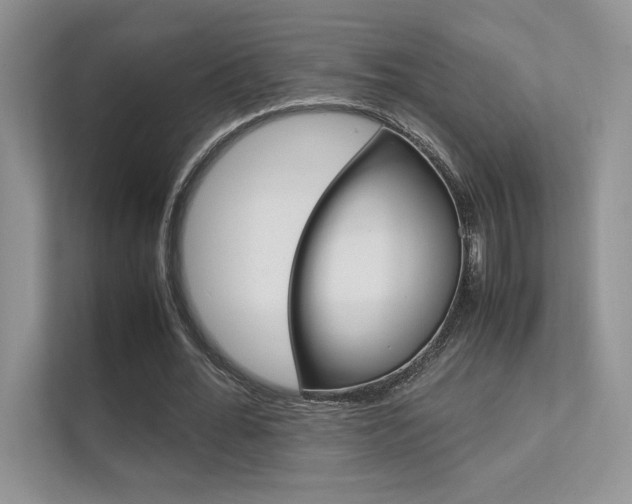 X0000112400676200908141006