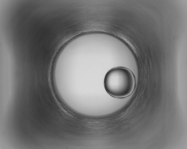 X0000112400677200908141006