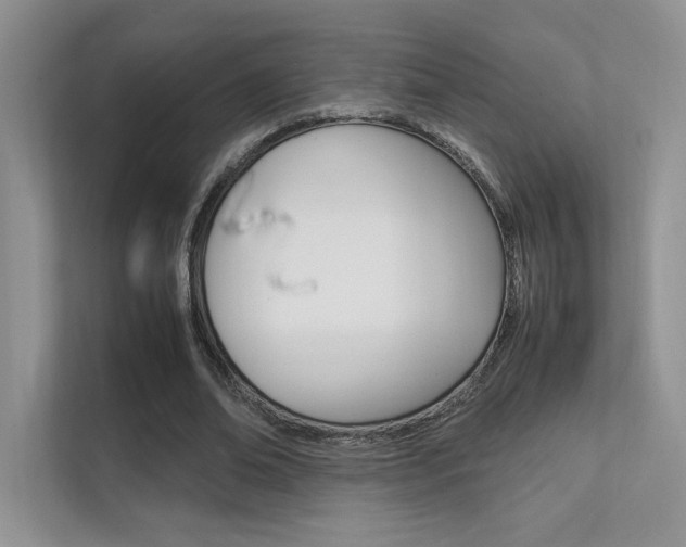 X0000112400678200908141006